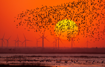 Image de Valoriser les zones humides, préserver la nature