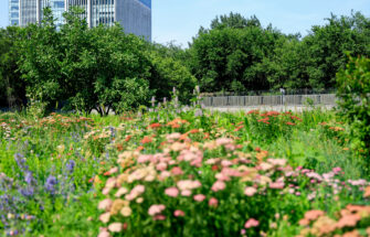 Image de (Fr) Innovons ensemble pour la biodiversité et le climat