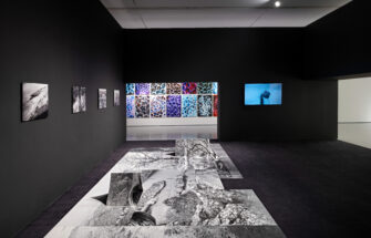 Image de Méandres, l’image en mouvement