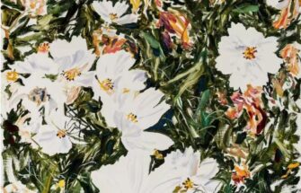 Image de 鹦鹉融合