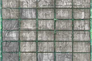 Image de 冬虫夏草