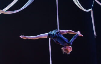 Image de 中国（张家界）国际新杂技戏剧周