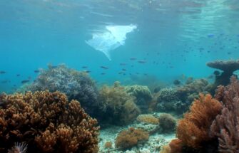 Image de Océans, le mystère plastique