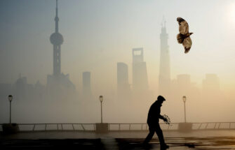 Image de 大气治理：中国的大气污染